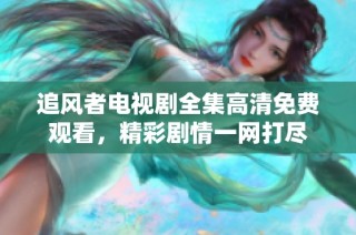 追风者电视剧全集高清免费观看，精彩剧情一网打尽