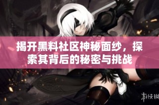 揭开黑料社区神秘面纱，探索其背后的秘密与挑战