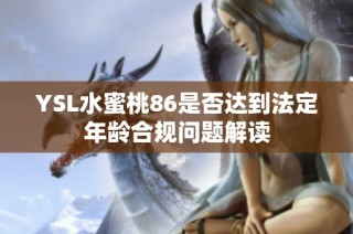 YSL水蜜桃86是否达到法定年龄合规问题解读