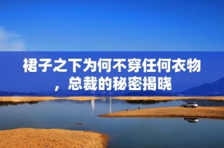 裙子之下为何不穿任何衣物，总裁的秘密揭晓