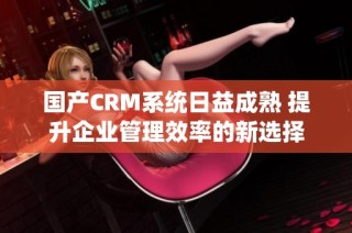 国产CRM系统日益成熟 提升企业管理效率的新选择