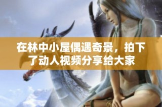 在林中小屋偶遇奇景，拍下了动人视频分享给大家