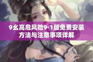 9幺高危风险9·1版免费安装方法与注意事项详解