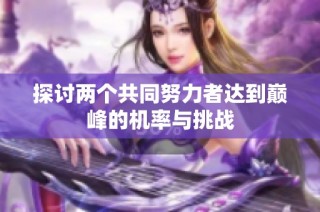 探讨两个共同努力者达到巅峰的机率与挑战