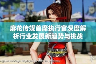 麻花传媒首席执行官深度解析行业发展新趋势与挑战