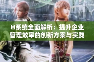 H系统全面解析:提升企业管理效率的创新方案与实践探讨