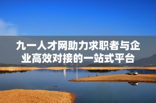 九一人才网助力求职者与企业高效对接的一站式平台