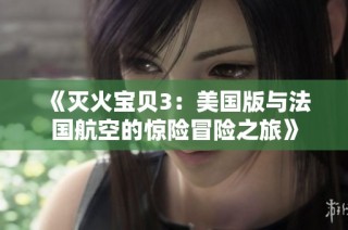 《灭火宝贝3：美国版与法国航空的惊险冒险之旅》