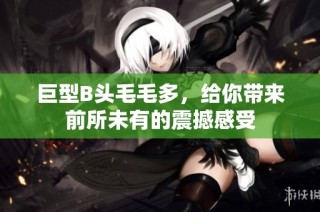 巨型B头毛毛多，给你带来前所未有的震撼感受