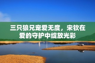 三只狼兄宠爱无度，宋钦在爱的守护中绽放光彩
