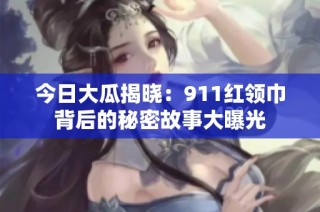 今日大瓜揭晓：911红领巾背后的秘密故事大曝光