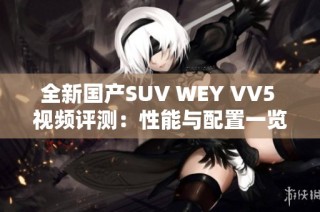 全新国产SUV WEY VV5 视频评测：性能与配置一览
