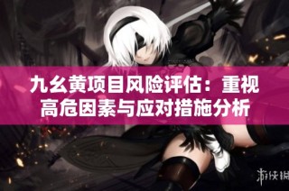 九幺黄项目风险评估：重视高危因素与应对措施分析
