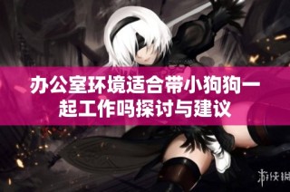 办公室环境适合带小狗狗一起工作吗探讨与建议