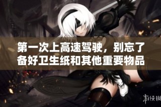 第一次上高速驾驶，别忘了备好卫生纸和其他重要物品