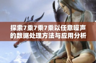 探索7乘7乘7乘以任意噪声的数据处理方法与应用分析