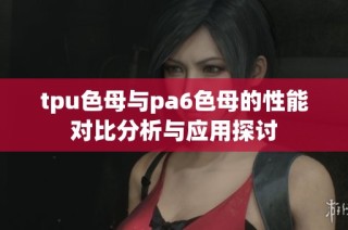 tpu色母与pa6色母的性能对比分析与应用探讨