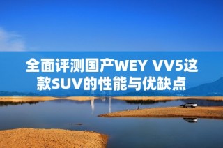 全面评测国产WEY VV5这款SUV的性能与优缺点