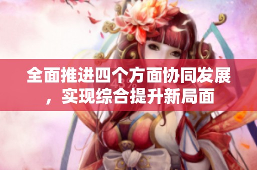 全面推进四个方面协同发展，实现综合提升新局面