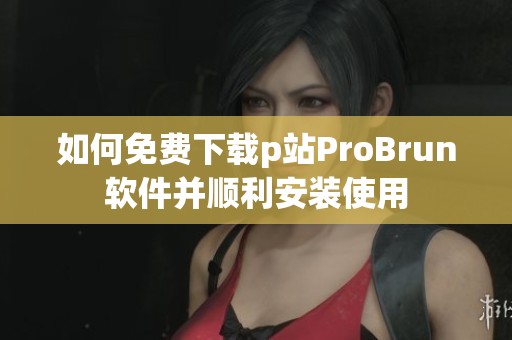 如何免费下载p站ProBrun软件并顺利安装使用