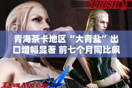 青海茶卡地区“大青盐”出口增幅显著 前七个月同比飙升3.9倍