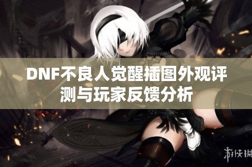 DNF不良人觉醒插图外观评测与玩家反馈分析 DNF不良人觉醒插图外观评测与玩家反馈分析