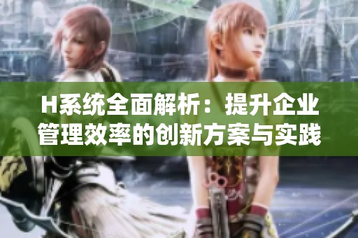 H系统全面解析：提升企业管理效率的创新方案与实践探讨