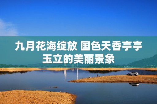 九月花海绽放 国色天香亭亭玉立的美丽景象
