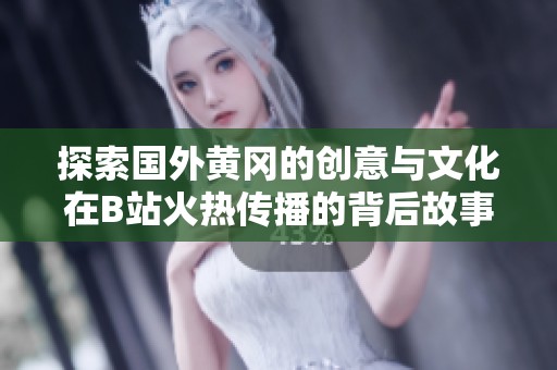 探索国外黄冈的创意与文化在B站火热传播的背后故事