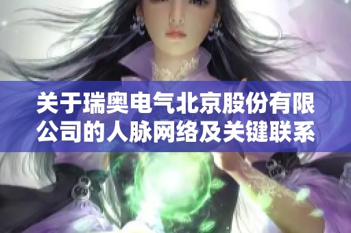 关于瑞奥电气北京股份有限公司的人脉网络及关键联系分析
