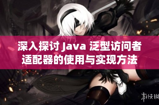 深入探讨 Java 泛型访问者适配器的使用与实现方法
