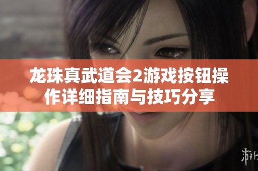 龙珠真武道会2游戏按钮操作详细指南与技巧分享
