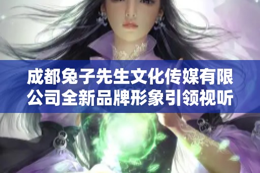 成都兔子先生文化传媒有限公司全新品牌形象引领视听革命