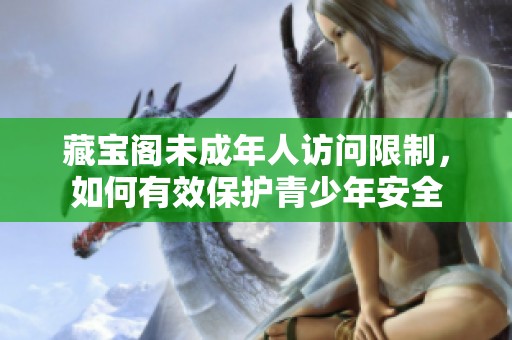 藏宝阁未成年人访问限制，如何有效保护青少年安全