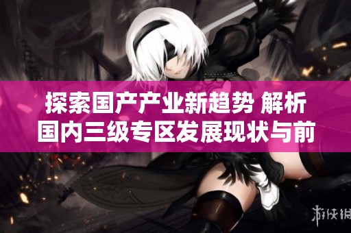 探索国产产业新趋势 解析国内三级专区发展现状与前景