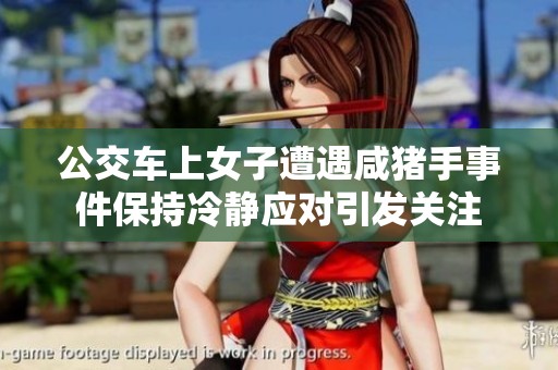 公交车上女子遭遇咸猪手事件保持冷静应对引发关注