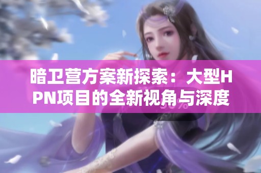 暗卫营方案新探索：大型HPN项目的全新视角与深度分析