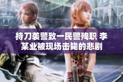 持刀袭警致一民警殉职 李某业被现场击毙的悲剧