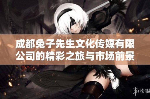 成都兔子先生文化传媒有限公司的精彩之旅与市场前景分析