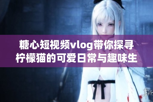 糖心短视频vlog带你探寻柠檬猫的可爱日常与趣味生活