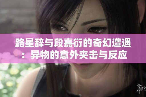路星辞与段嘉衍的奇幻遭遇：异物的意外夹击与反应