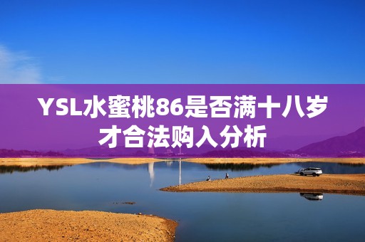 YSL水蜜桃86是否满十八岁才合法购入分析