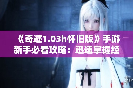 《奇迹1.03h怀旧版》手游新手必看攻略：迅速掌握经典玩法技巧