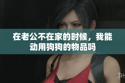 在老公不在家的时候，我能动用狗狗的物品吗