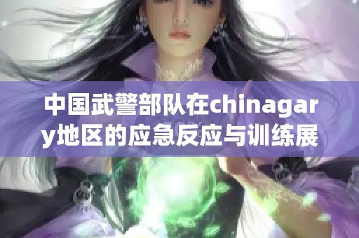 中国武警部队在chinagary地区的应急反应与训练展示