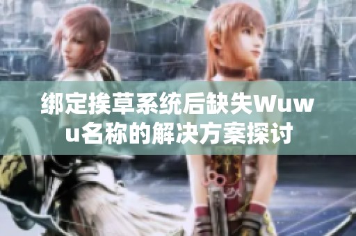 绑定挨草系统后缺失Wuwu名称的解决方案探讨