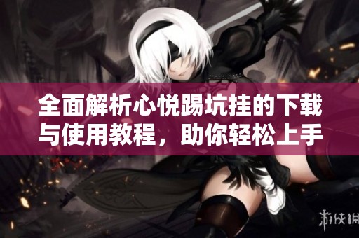 全面解析心悦踢坑挂的下载与使用教程，助你轻松上手