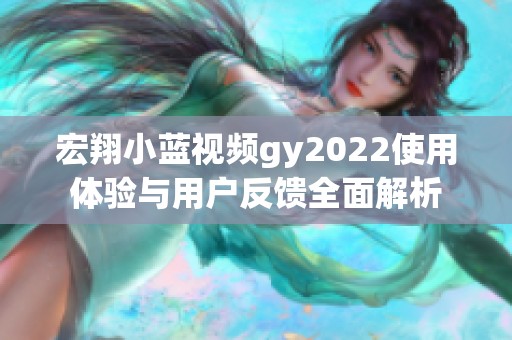 宏翔小蓝视频gy2022使用体验与用户反馈全面解析