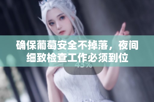 确保葡萄安全不掉落，夜间细致检查工作必须到位