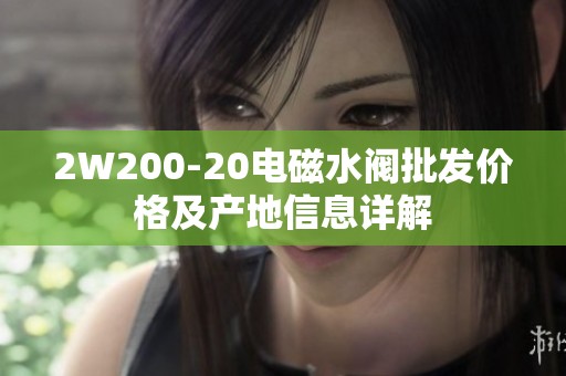 2W200-20电磁水阀批发价格及产地信息详解